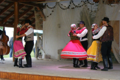 DSCF9949
