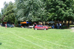 DSCF9987