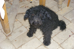 DSCF2486