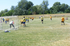2011. Lugio focikupa