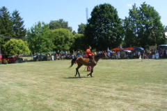 DSCF9801