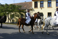 2011. Szüreti Mulatság