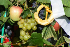 DSCF1826