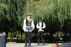 DSCF1867