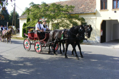DSCF1873