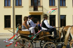 DSCF1877