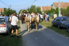 DSCF1951