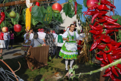 Szueretibal-2011-098