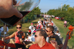 Szueretibal-2011-235