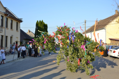 DSC_1963