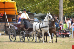 DSC_6021