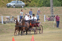 DSC_6066