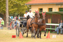 DSC_6071