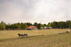 DSC_6149