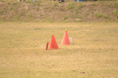 DSC_6269