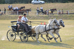 DSC_6432