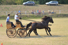 DSC_6490