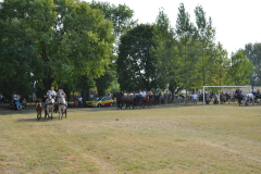 DSC_6518