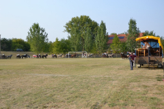 DSC_6619