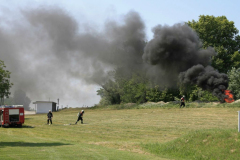 1008801_602377459806525_629316307_o