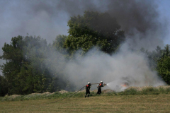 1072080_602377769806494_1247958696_o