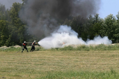 1073850_602377836473154_191760900_o