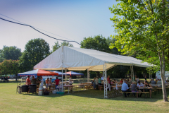 2013-08-18- Kettes fogathajtó verseny