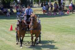 DSC_4032