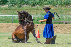 DSC_4074