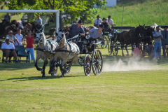 DSC_4284