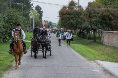 2013-09-28-Szüreti mulatság