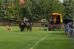 DSC_0903