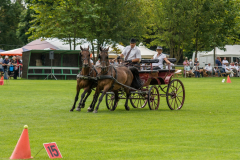 DSC_0951