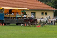 DSC_0959