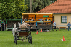 DSC_0967