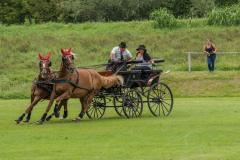 DSC_1090