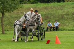 DSC_1109