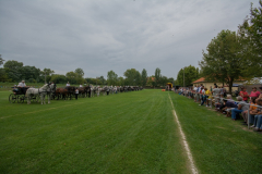 DSC_1134