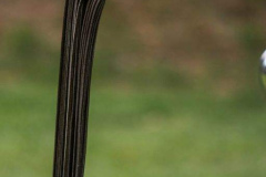 JPM_9057