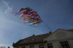 2015.05.02. Majusfa állítás