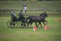 2015.07.24. Kettes fogathajtó verseny, OB forduló+tűzijáték
