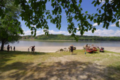 IMGP1178