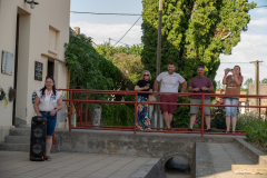 DSC_5405