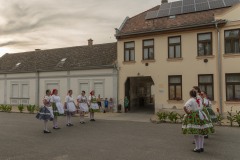 Májusfa kitáncolás_2024