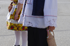 IMGP7782_1