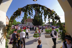 IMGP7835_1