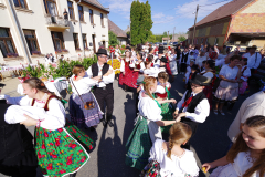 IMGP7843_1