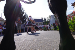 IMGP7867_1