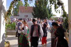 IMGP7874_1
