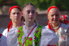 IMGP7943_1